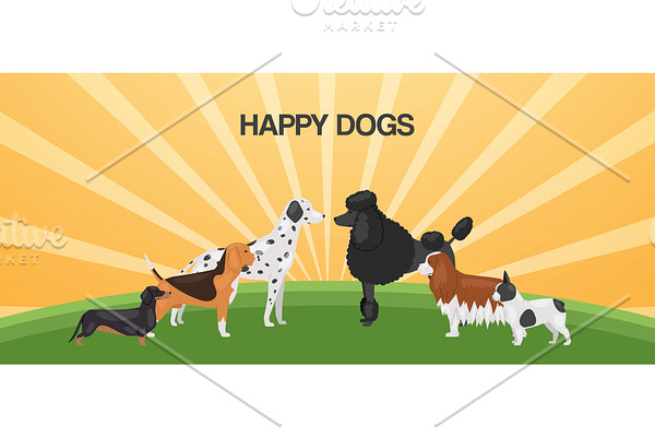 Happy dogs different breeds baner