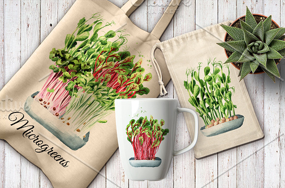 Microgreens. Watercolor collection in Illustrations - product preview 4