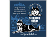 Siberian Husky - vector set for t