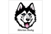 Siberian Husky Dog head showing