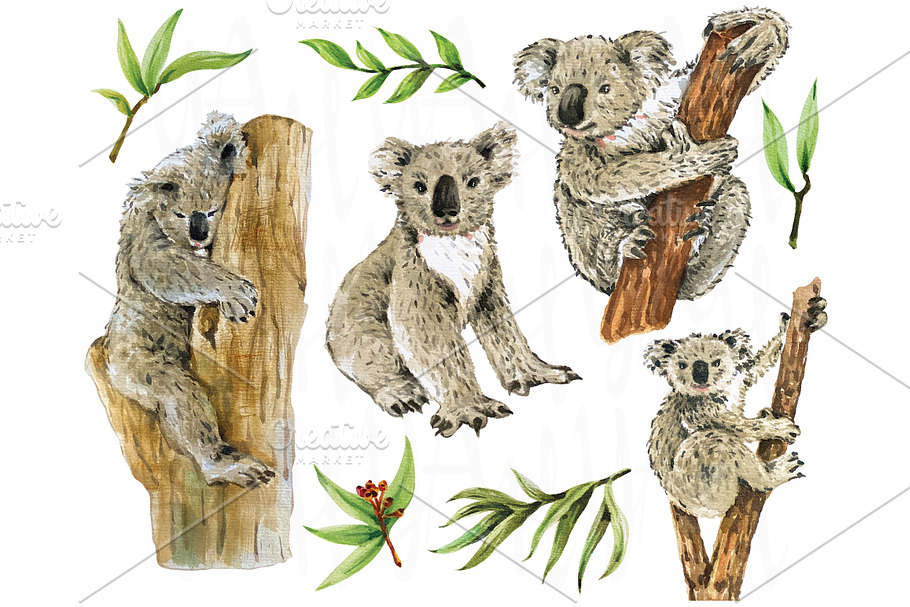 Hand Paint Watercolor Koala in Illustrations - product preview 8