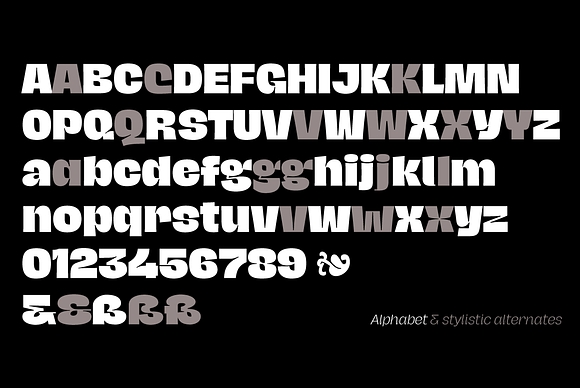Hagrid 24 fonts + 4 variables in Display Fonts - product preview 13