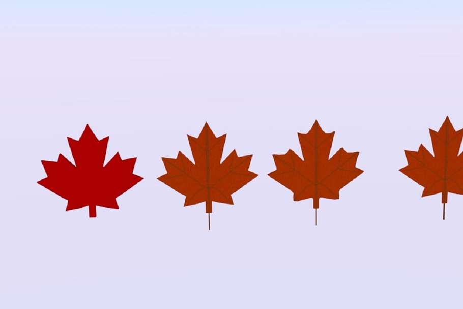 Maple Canada in Nature - product preview 8