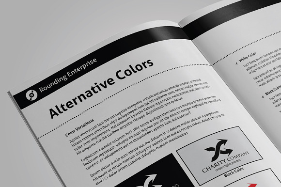 Universal Brand Manual in Brochure Templates - product preview 4