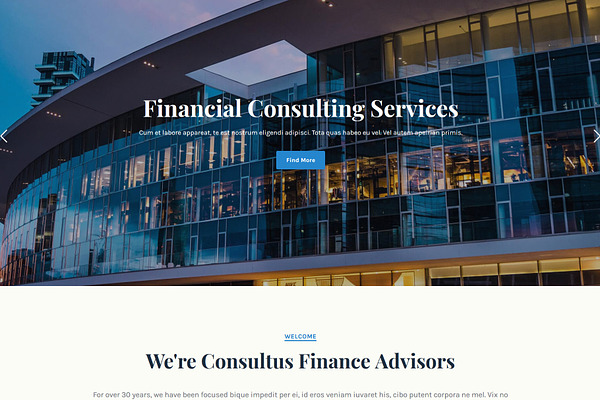 Consultus Finance Consulting Theme