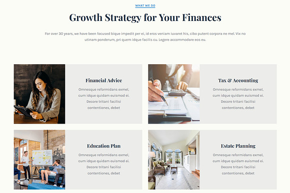 Consultus Finance Consulting Theme in WordPress Business Themes - product preview 1