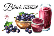 Black currant. Watercolor collection