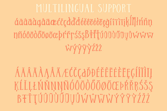Streusel Kuchen Handwritten Serif in Serif Fonts - product preview 8