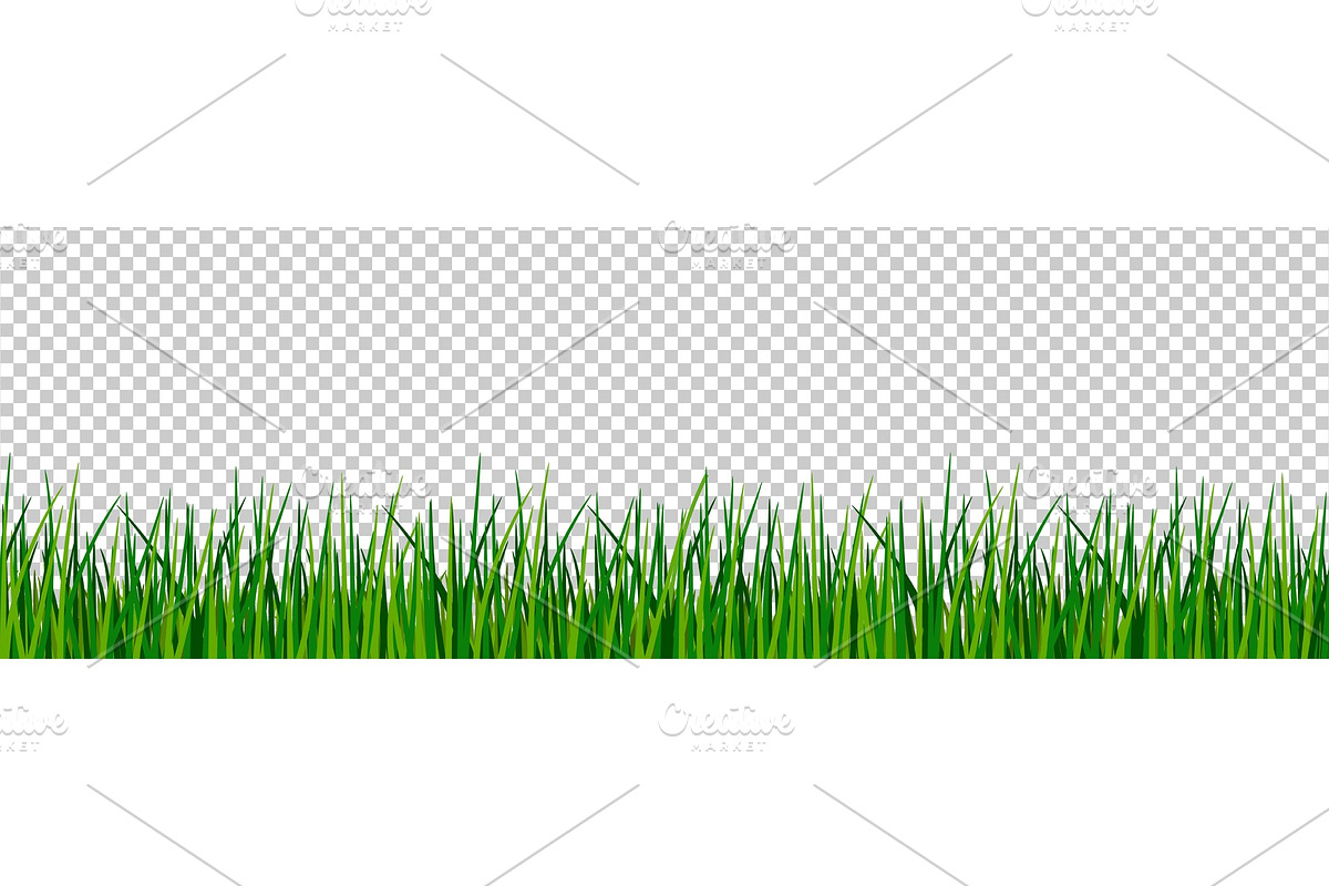 Green grass border in Illustrations - product preview 8