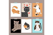 Cute cats card backgrounds