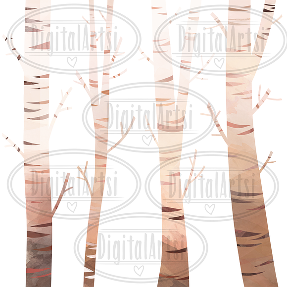Watercolor Birch Trees Clipart in Illustrations - product preview 2