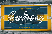 Bandoong | Modern Script Font