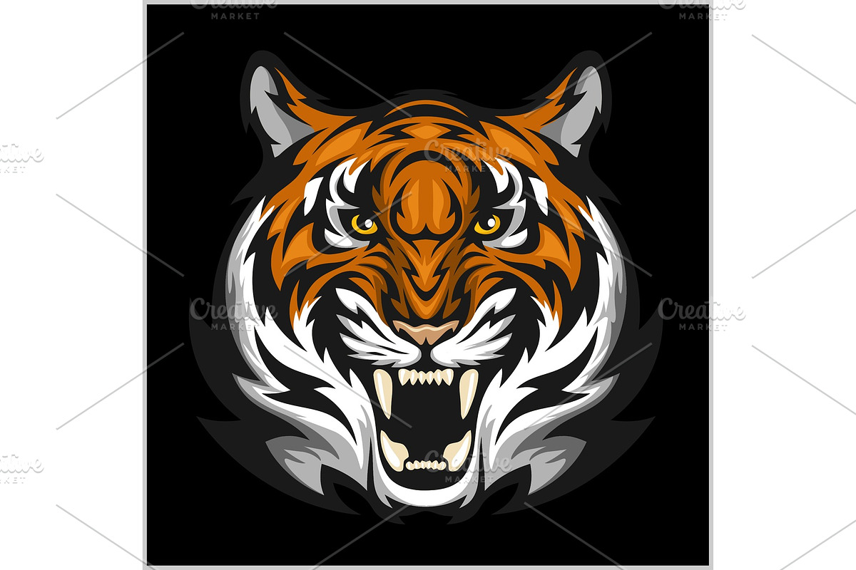 Tigers Face. Vector illustration of in Illustrations - product preview 8