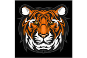 Tigers Face. Vector illustration of