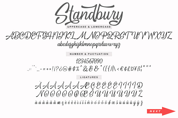 Standbury Script ( Normal, Bold) in Script Fonts - product preview 9