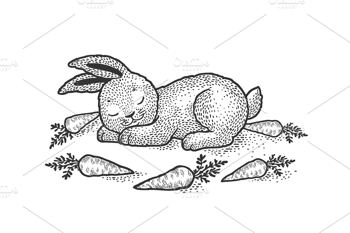 Cartoon sleeping rabbit sketch in Illustrations - product preview 8