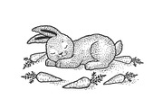 Cartoon sleeping rabbit sketch