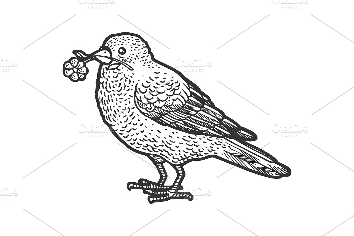 Canary with camomile in beak sketch in Illustrations - product preview 8