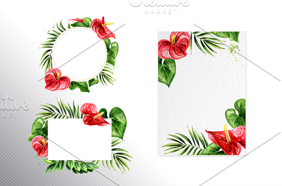 Tropical Anthurium in Illustrations - product preview 1