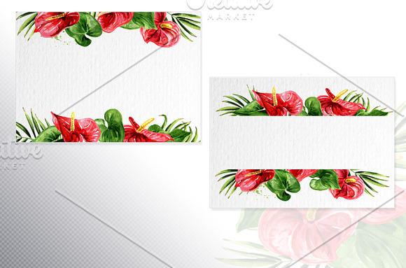Tropical Anthurium in Illustrations - product preview 2