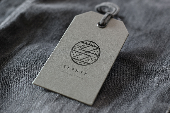 Zephyr. Linear geometric logo in Logo Templates - product preview 2