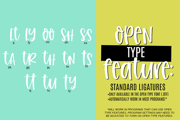 Seriously Though Handwritten Font in Display Fonts - product preview 3