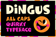 Dingus - Quirky Display Font