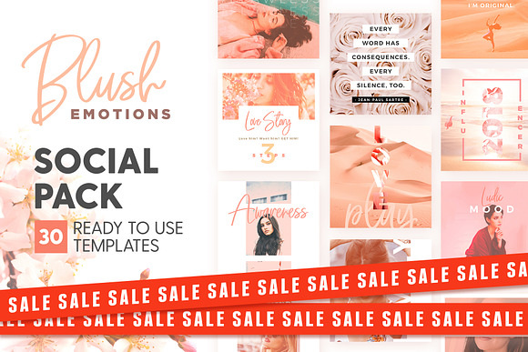 SALE 2in1 Blush Emotions Edition in Instagram Templates - product preview 8