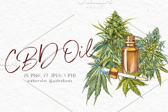 CBD Oil. Hemp illustration in Illustrations - product preview 2