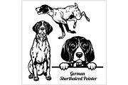 German Shorthaired Pointer - vector