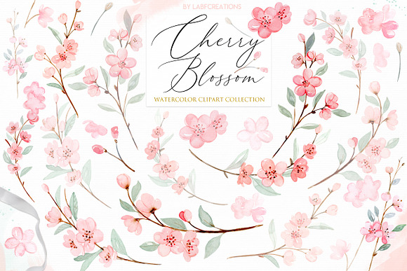 Cherry Blossom Watercolor flowers in Illustrations - product preview 11