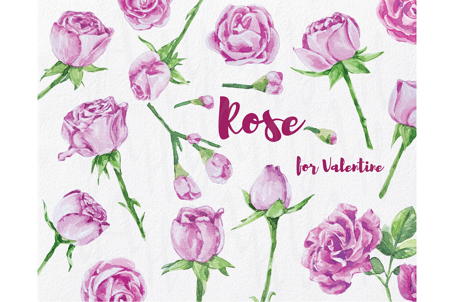 Watercolor Love Pink Rose in Illustrations - product preview 8