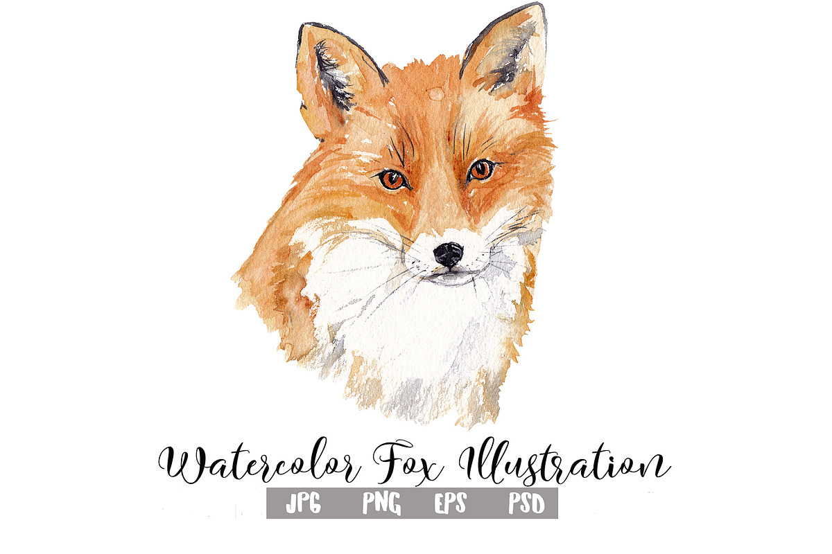 Watercolor Fox Illustration in Illustrations - product preview 8