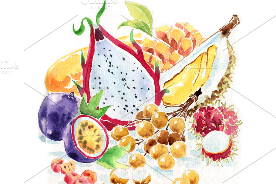 Asian fruit, watercolor specialities