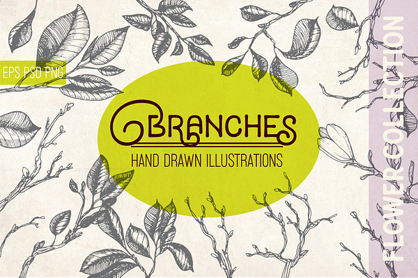 Spring branches. Engraving style