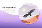 Eagle, landscape with flying bird