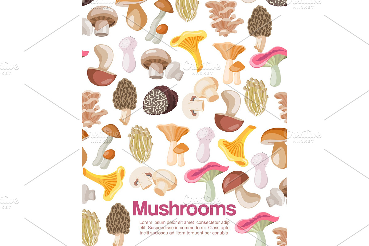 Mushrooms edible organic vegeterian in Illustrations - product preview 8