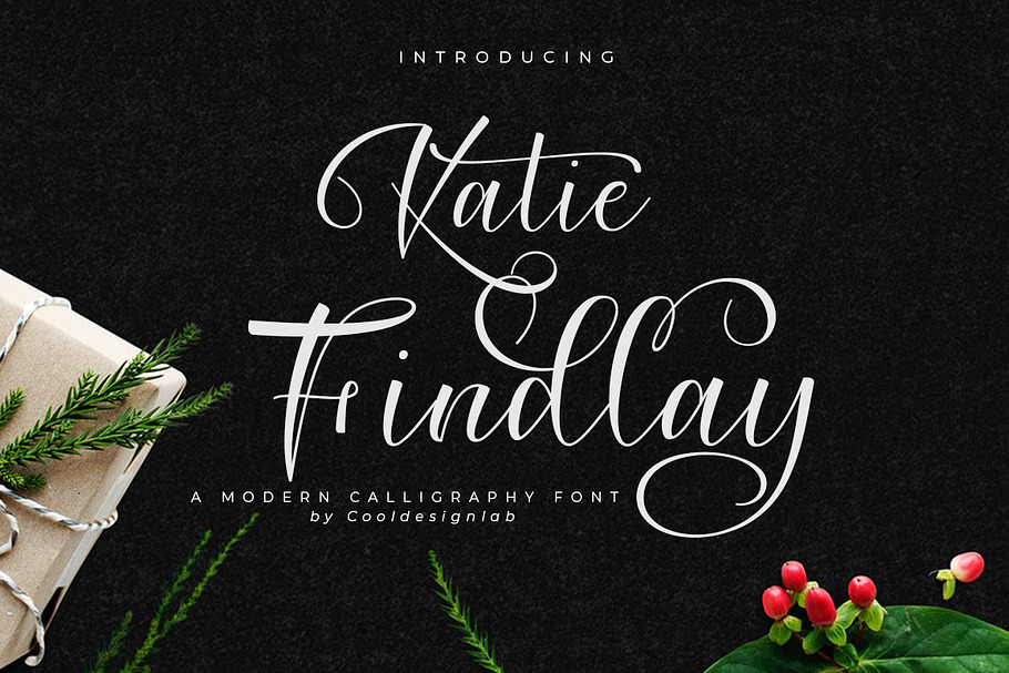 Katie Findlay Script in Script Fonts - product preview 8