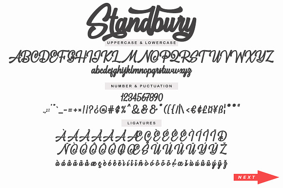 Standbury Script ( Normal, Bold) in Script Fonts - product preview 11