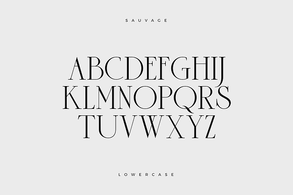 Sauvage - Elegant Font + Free Logos in Display Fonts - product preview 13