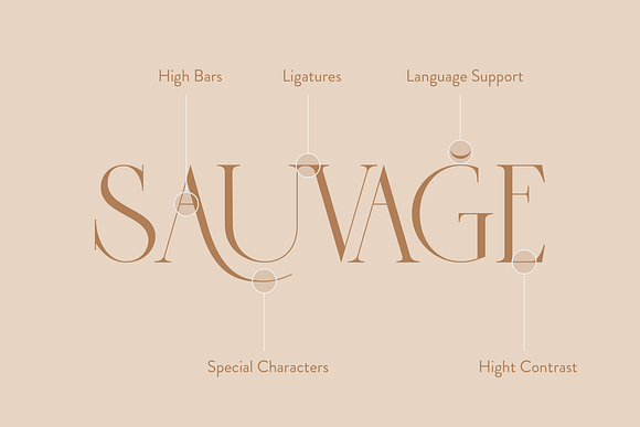 Sauvage - Elegant Font + Free Logos in Display Fonts - product preview 14