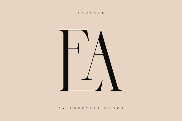 Sauvage - Elegant Font + Free Logos in Display Fonts - product preview 18