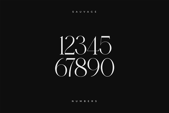 Sauvage - Elegant Font + Free Logos in Display Fonts - product preview 19
