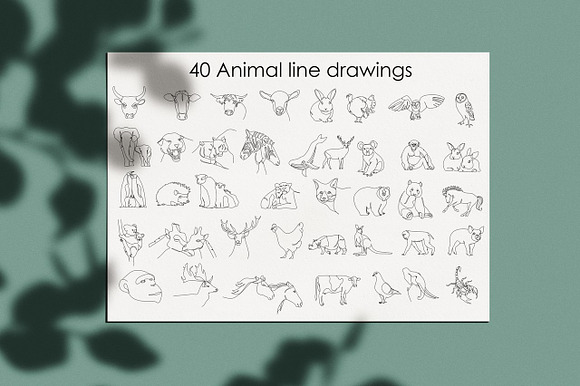40 Animal vector line drawings in Illustrations - product preview 4