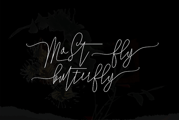 Nauwra Beauty in Script Fonts - product preview 3