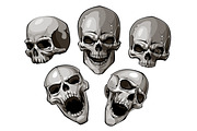 Vector Skulls Set