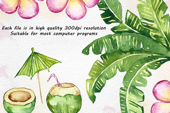 Watercolor Summer Clipart in Illustrations - product preview 1