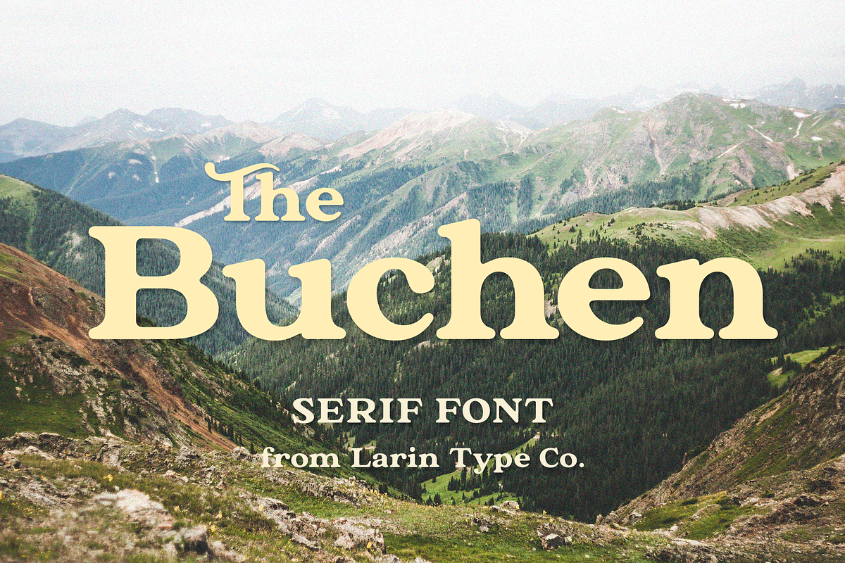 The Buchen in Serif Fonts - product preview 8