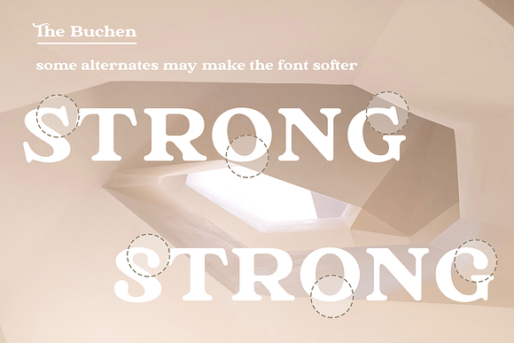 The Buchen in Serif Fonts - product preview 10