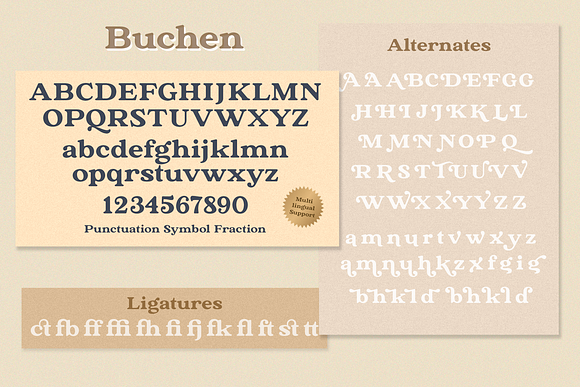 The Buchen in Serif Fonts - product preview 12